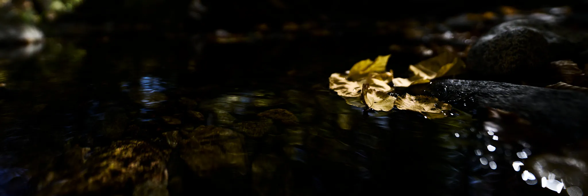 Floating in shadows