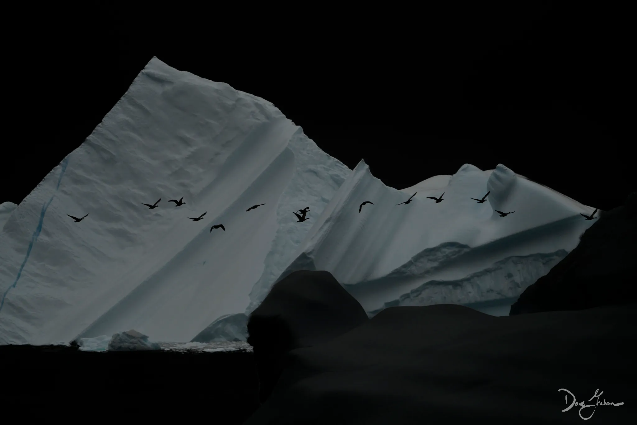 Bird experiment